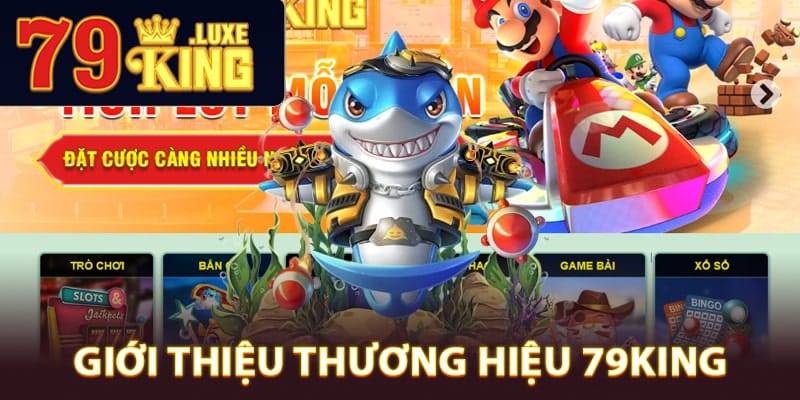 Giới thiệu thương hiệu 79King